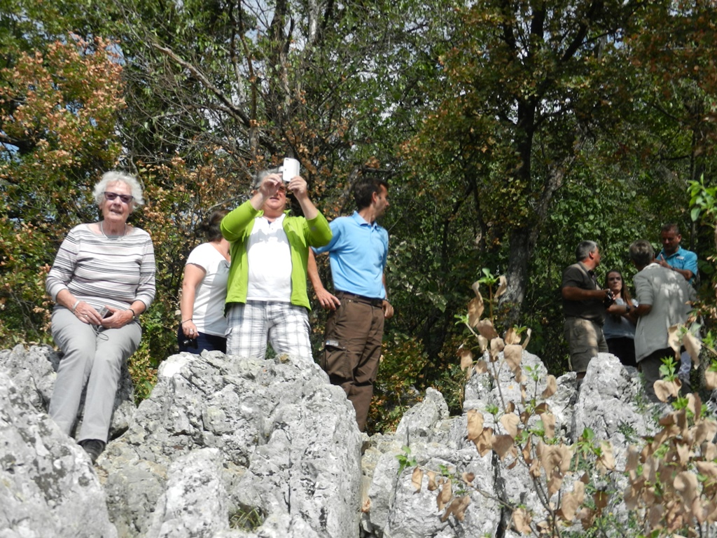 Туристи са иностраног крузера на видиковцу Плоче