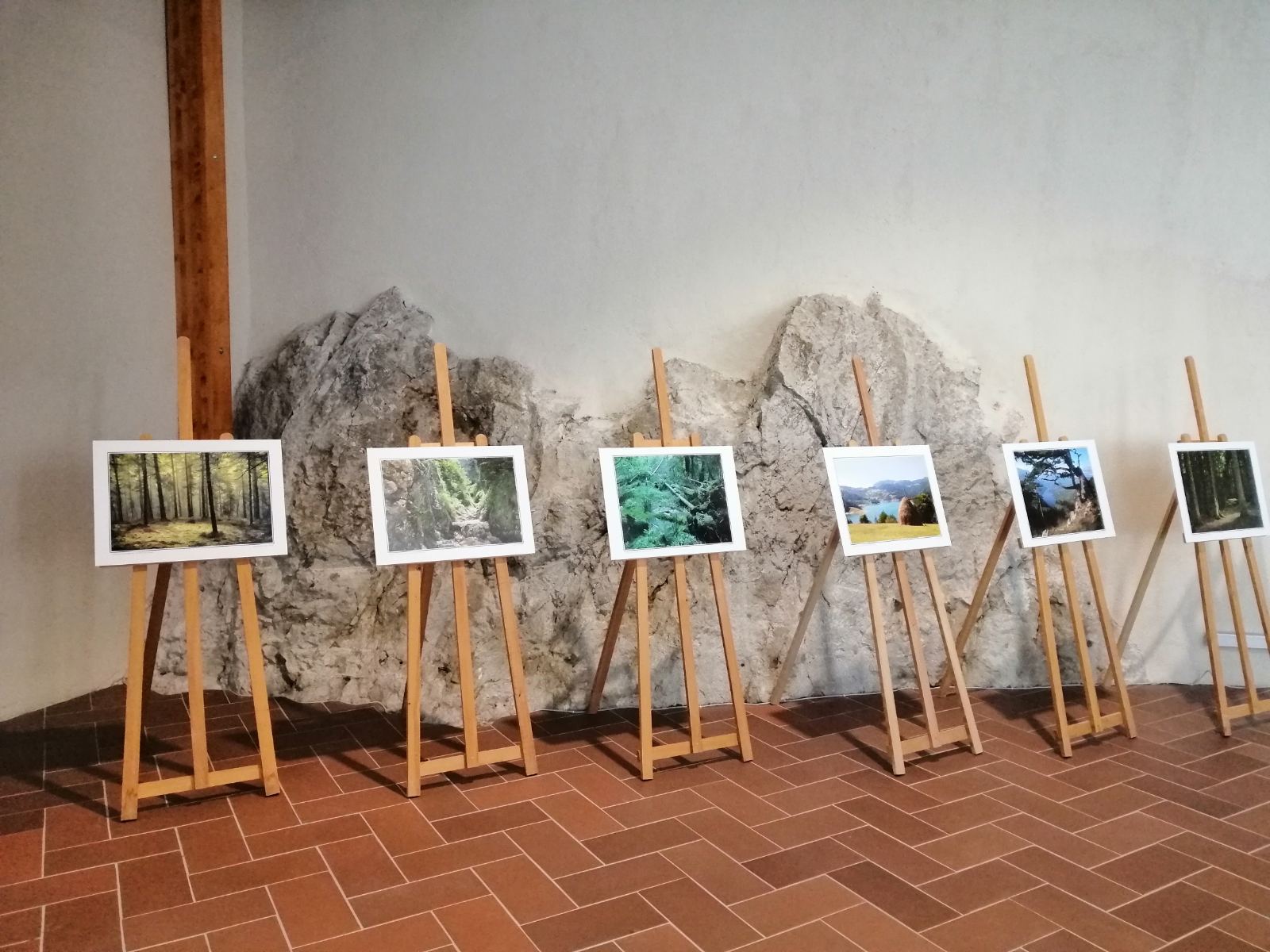 Лепоте Националног парка Тара на изложби фотографија у палати Тврђаве Голубачки град