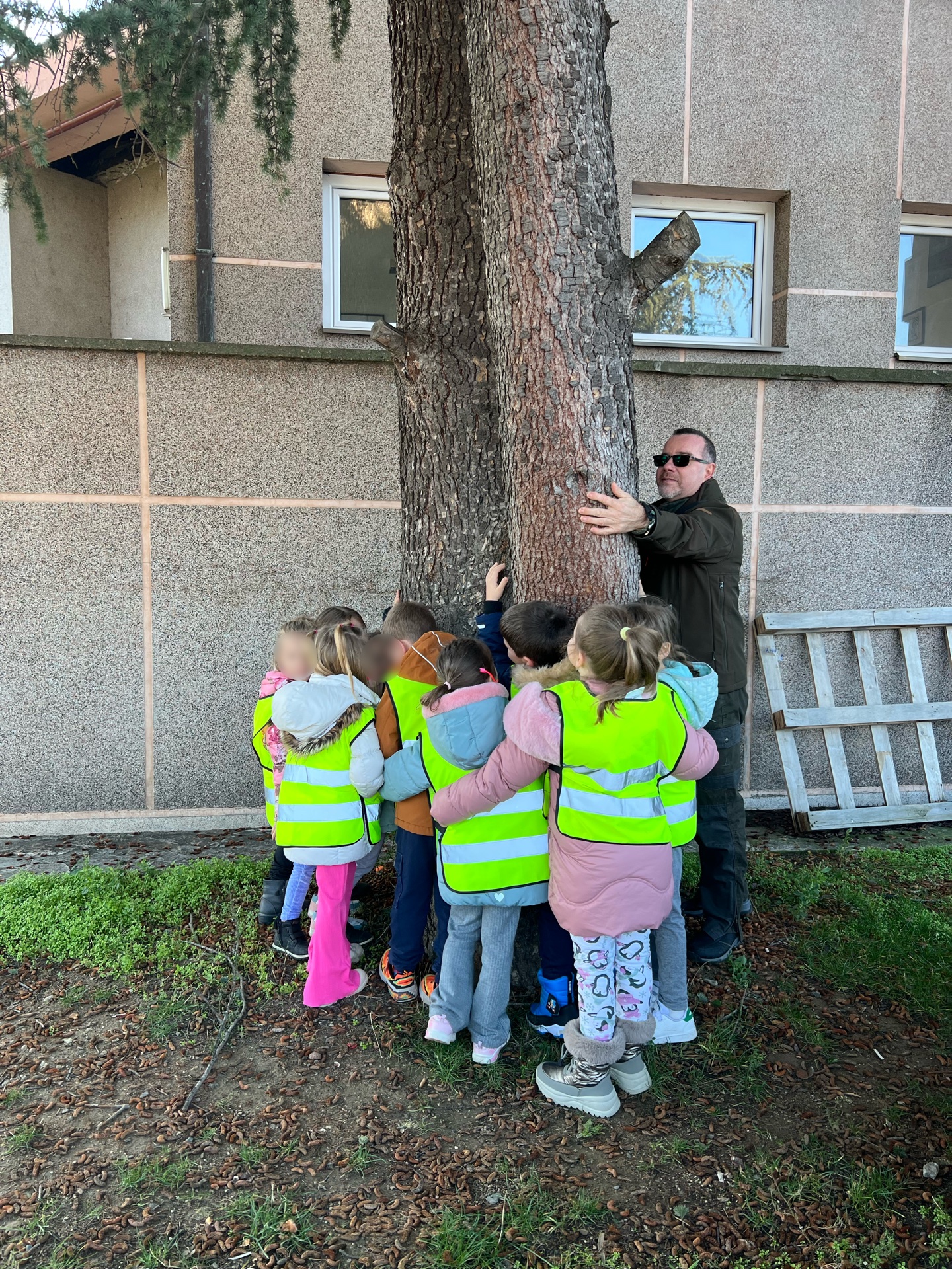 Радионица о четинарима