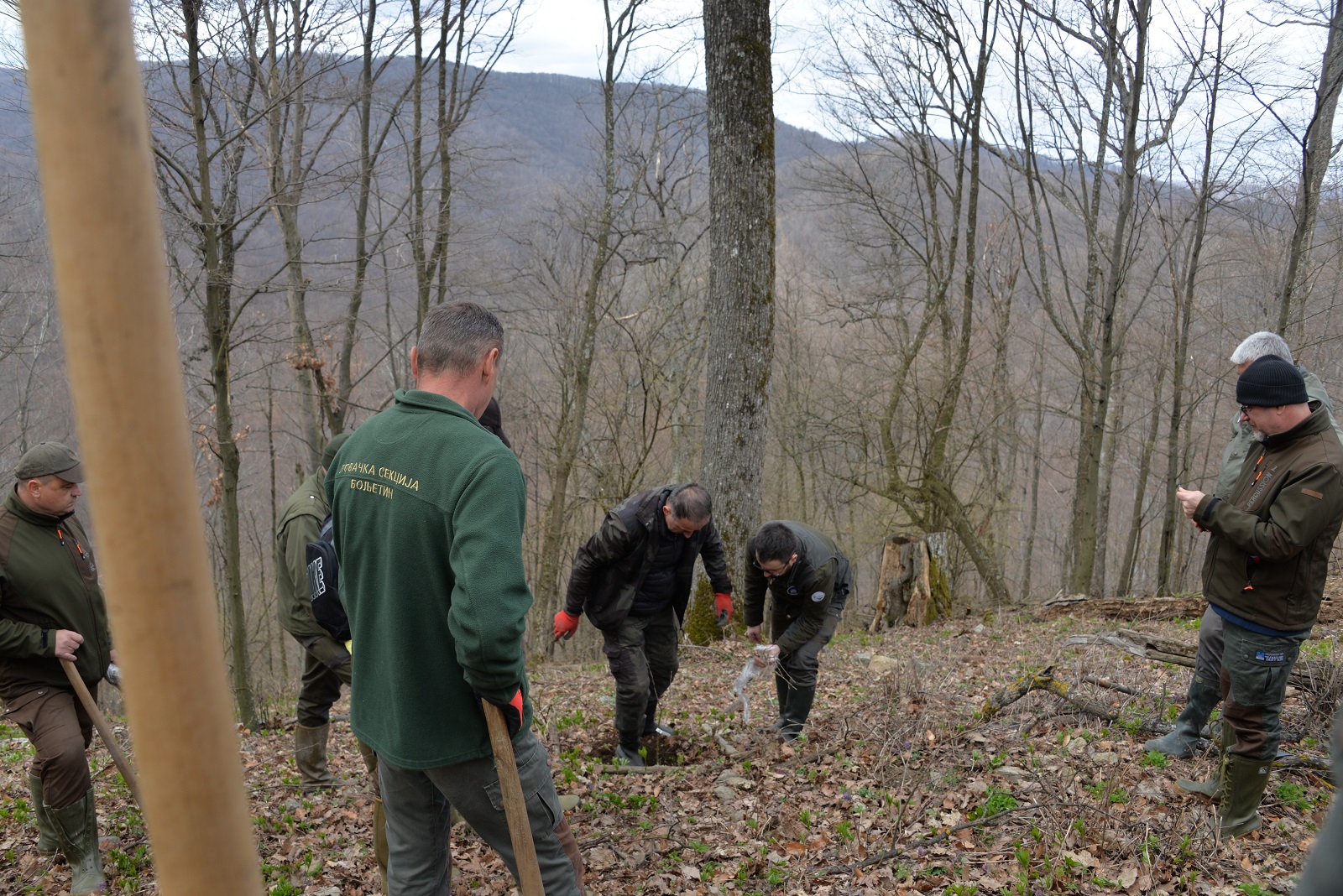 Обележавање Светског дана шума